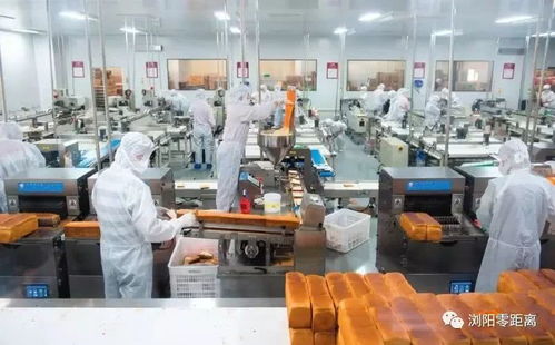 瀏陽一企業自動化生產線投產，觸控產品生產實現“以一當十”